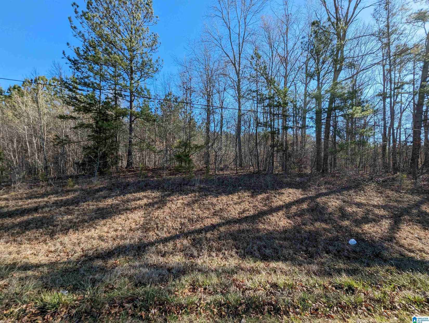 0 (5 7 Acres) Hwy 77  