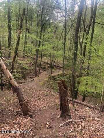 Lot 8 Black Fox Hbr Rd  