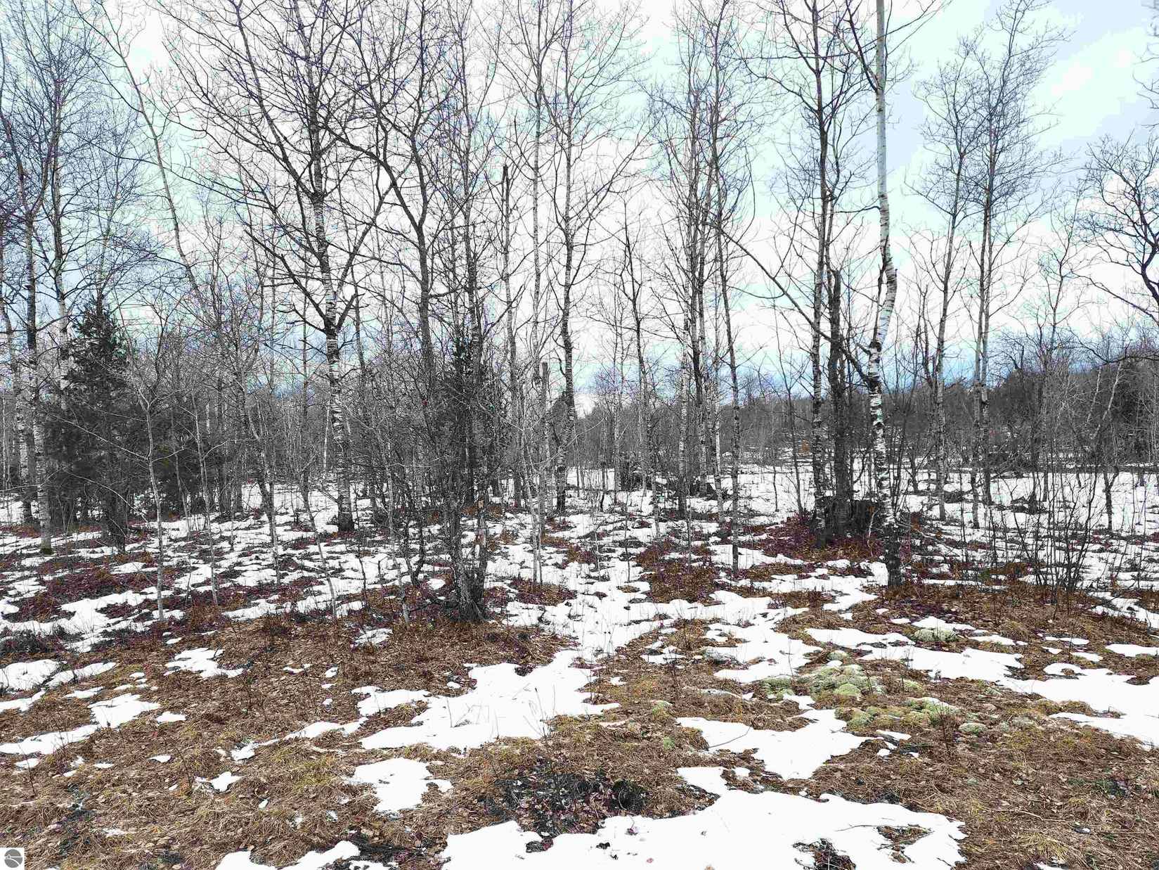 LOT 488 Manistee Heights No 1  