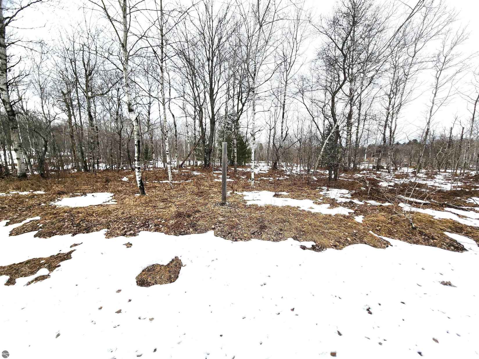 LOT 489 Manistee Heights No 1  