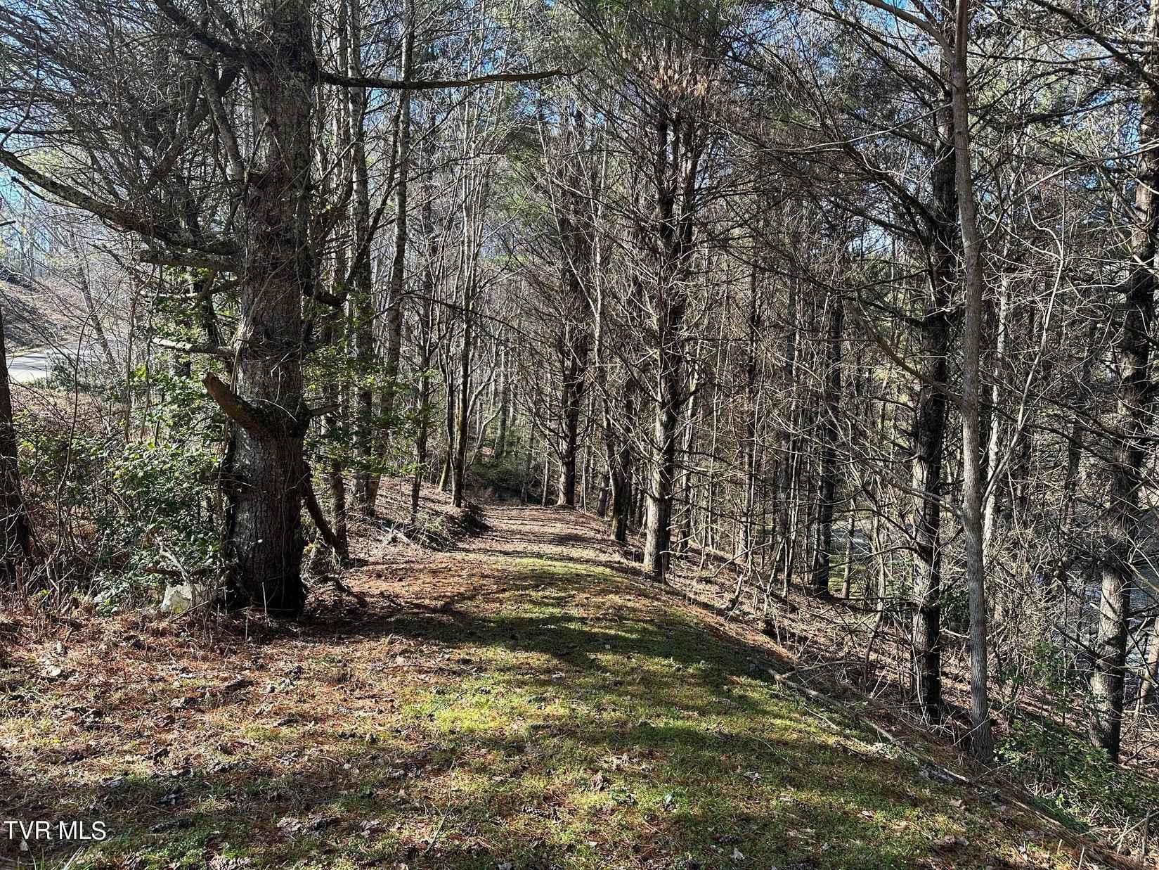 Tbd00 Laurelwood Dr  