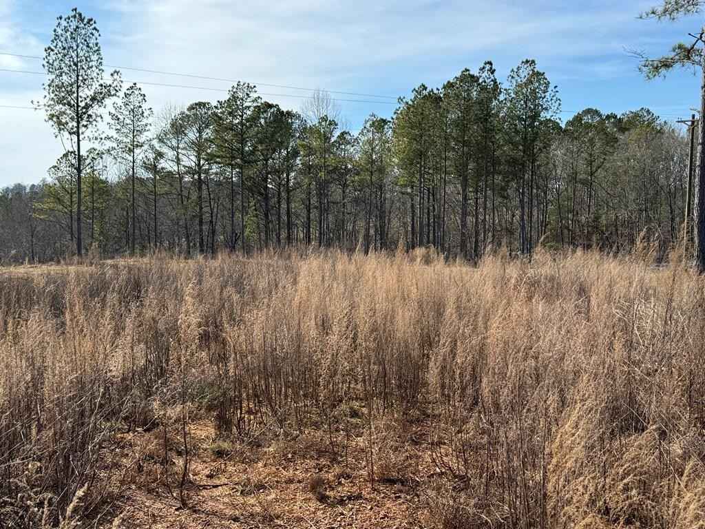 Lot 129 Vista Crk Dr  
