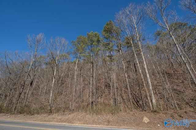 6 ACRES State Rd 68  