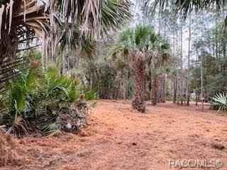 Lot Unit 15 Cason Blvd  