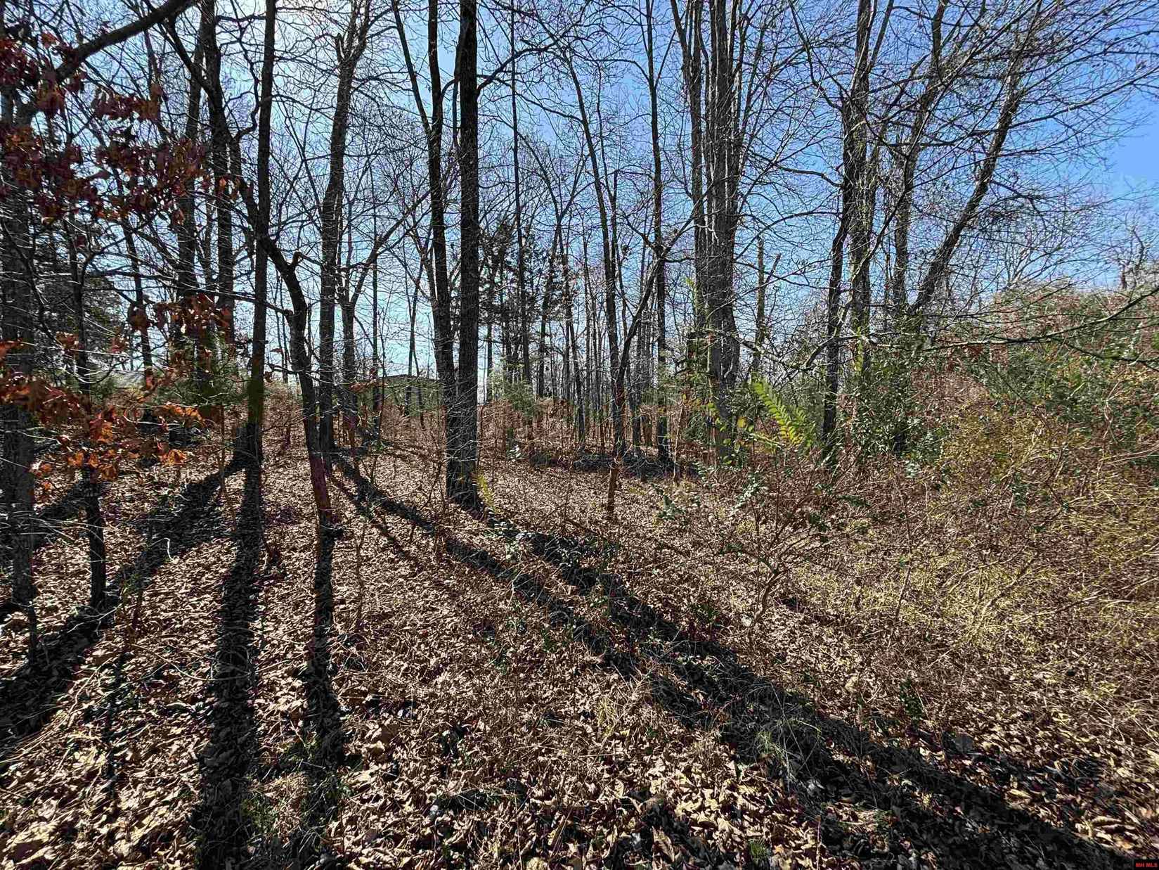 760-08217-000 LYNETTE Ave  