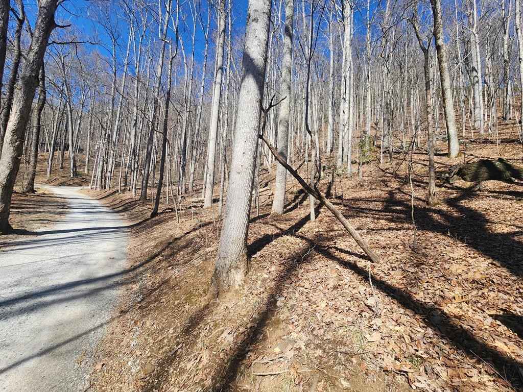Lot 9a Crestview Dr  