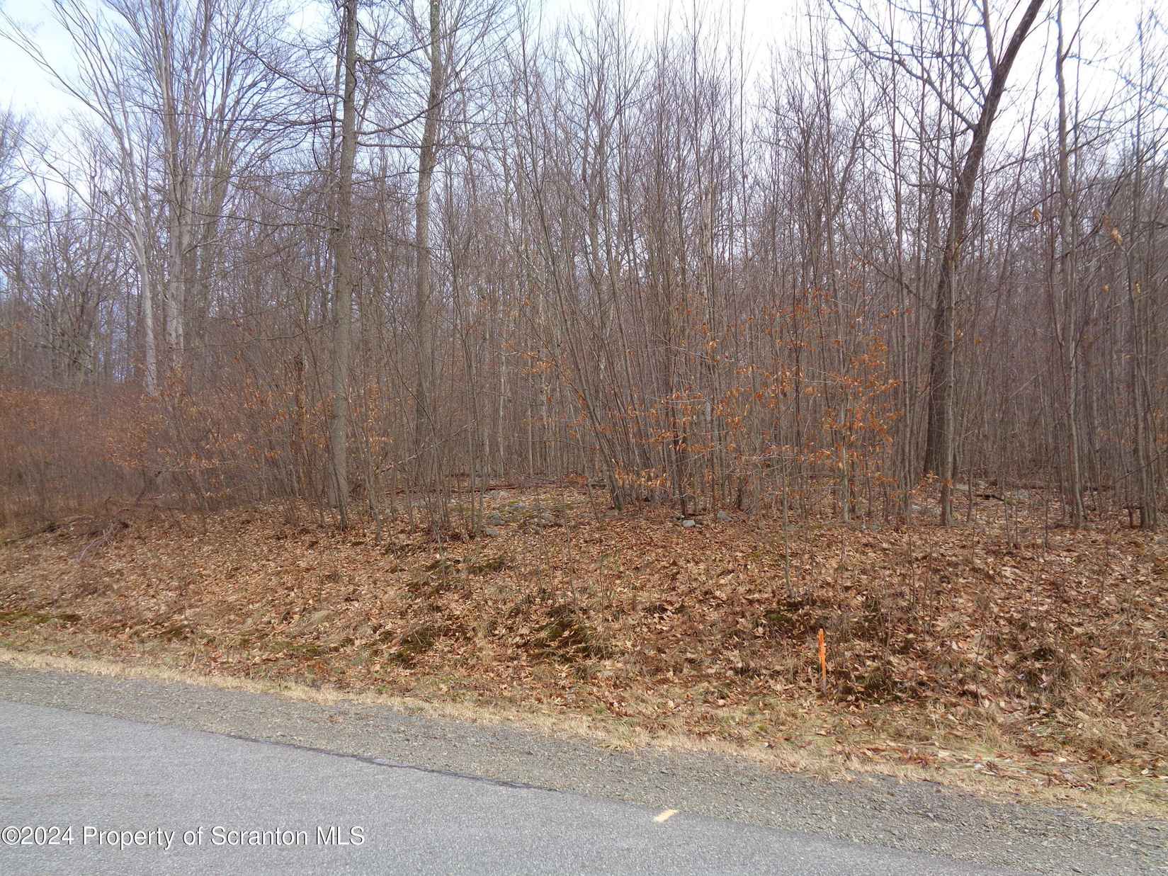 107 Smt Woods  