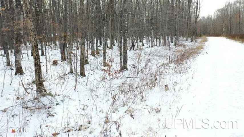 Lot 9 Elizabeth  