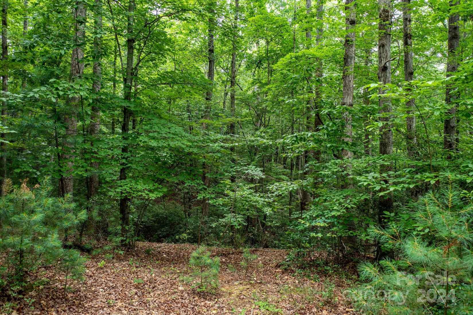 0 Bridle Ridge Way  