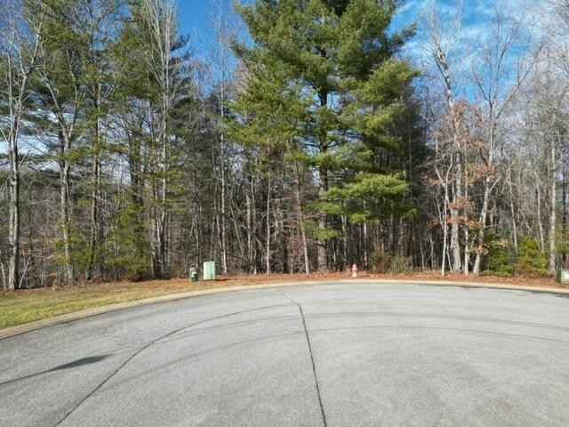 LOT 29 STONEY Ml RD  