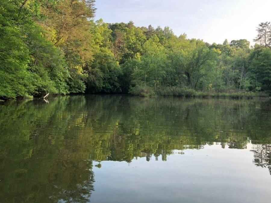 865 Nature Trl  