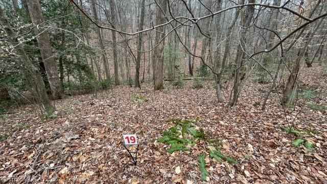 Lot 19 Woods Hvn Ln  