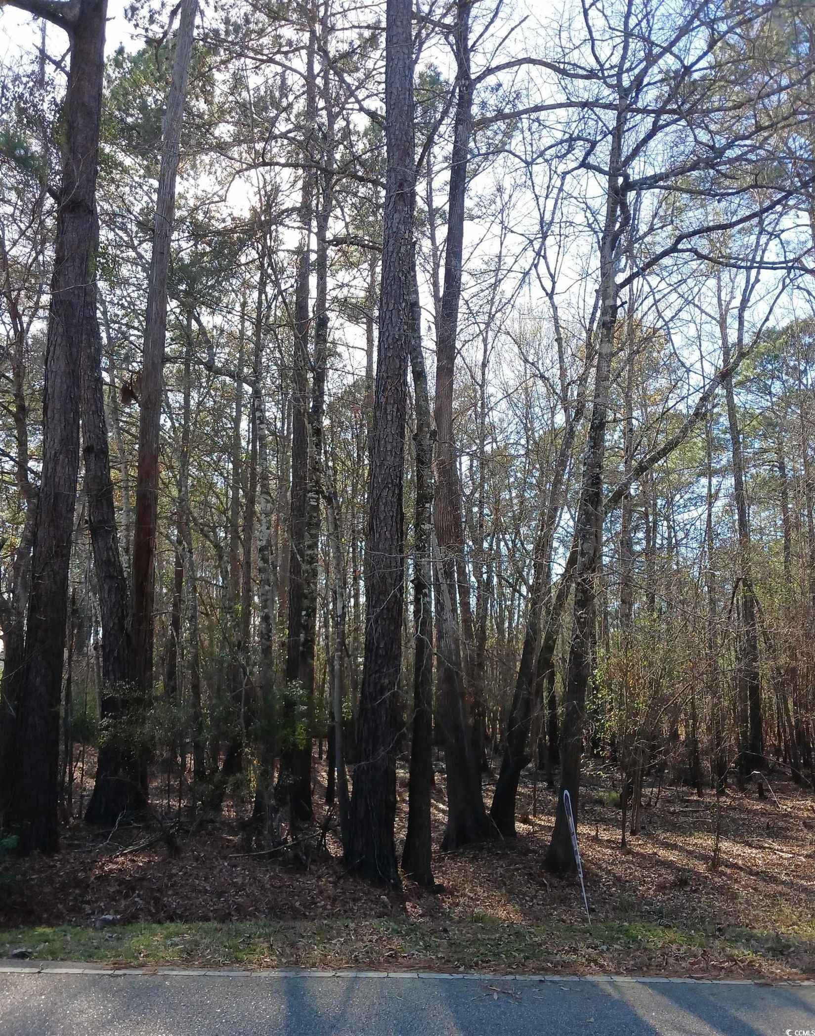 40 Rowe Pond Rd  