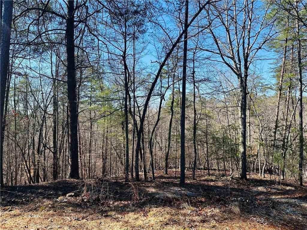 Lot 20 Crown Mountain Way  