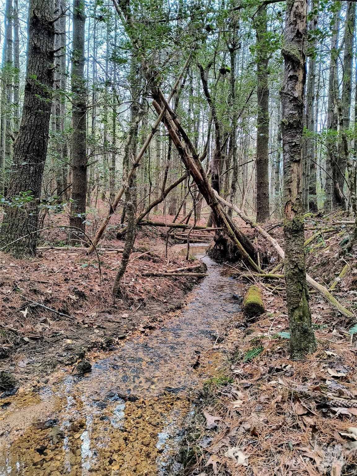 1 81 Acres On Conroy Ct  