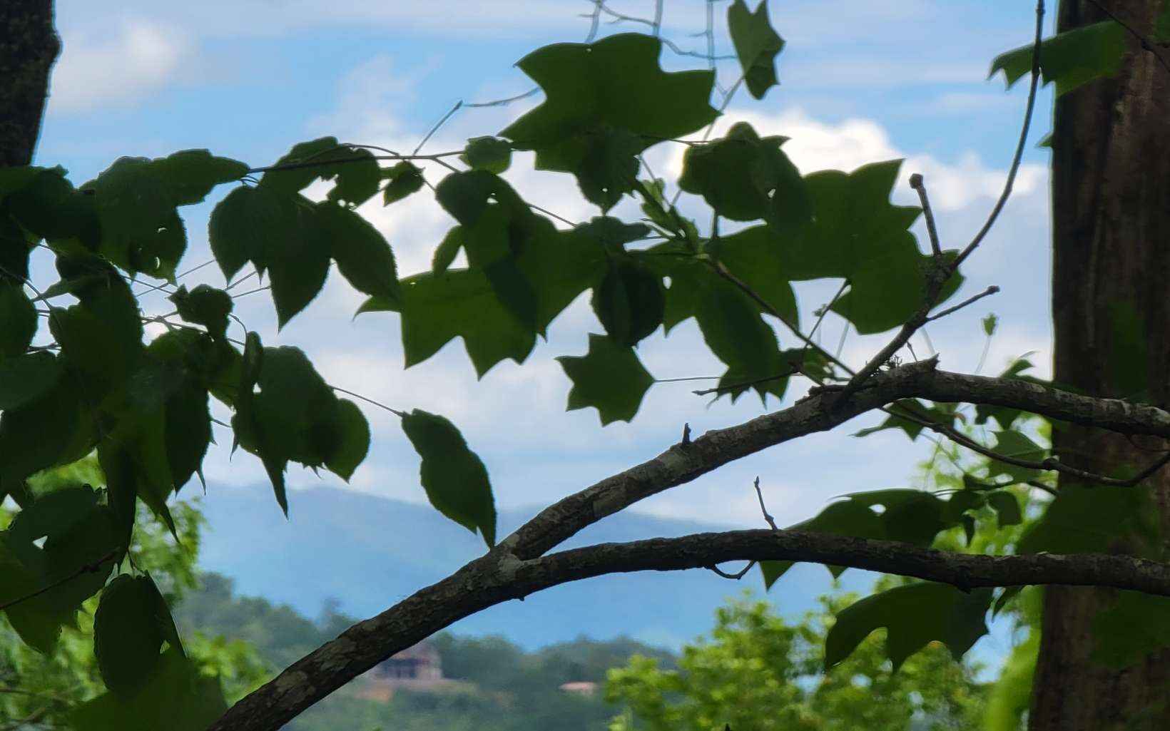 3 Peaks Of Fires Crk  