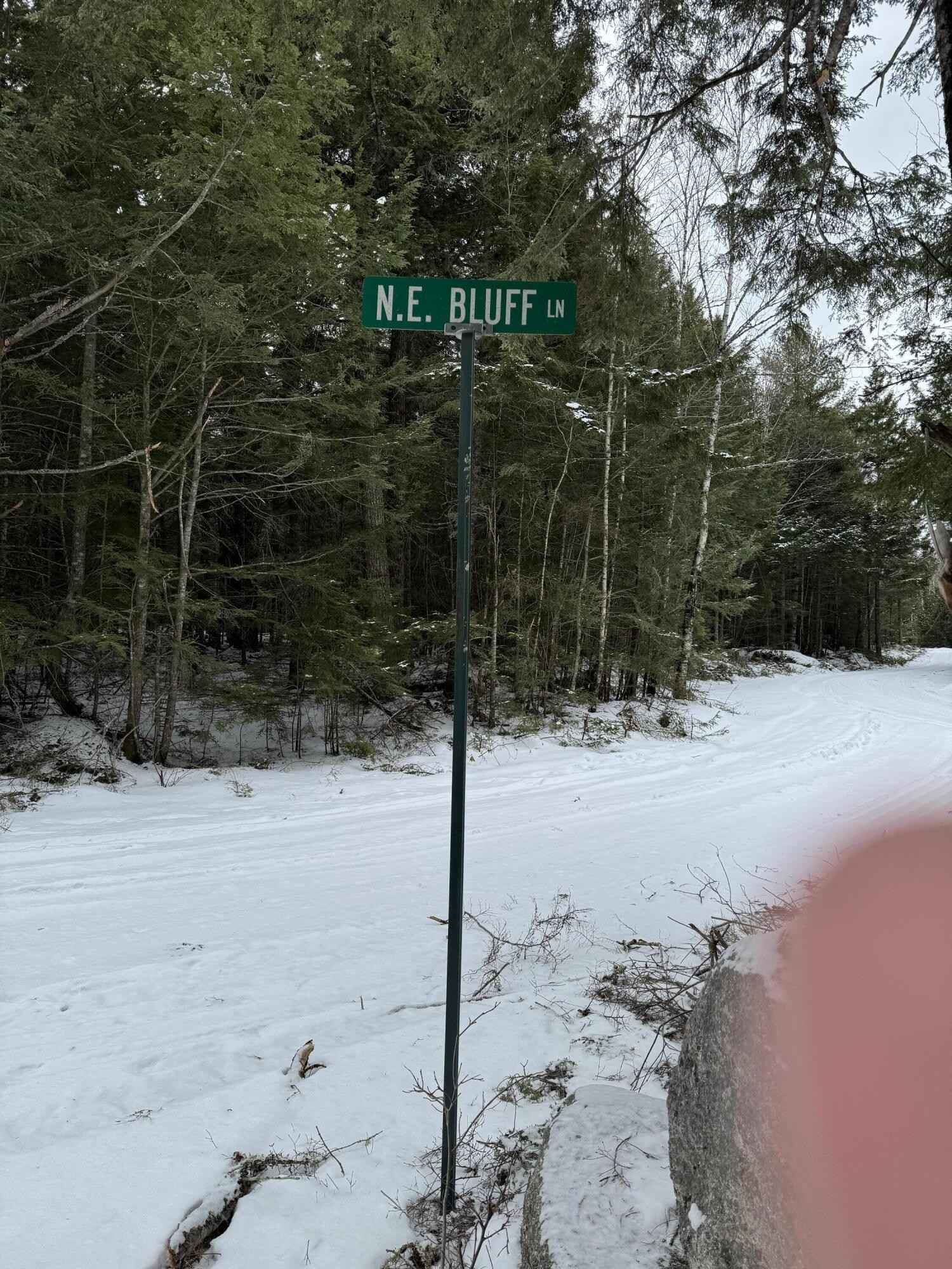 Map9lot45 NE NE Blf Ln  