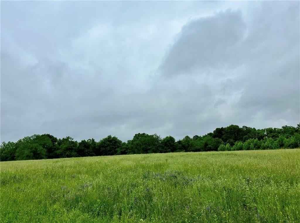10 117 Acres /- Blue Spgs RD  