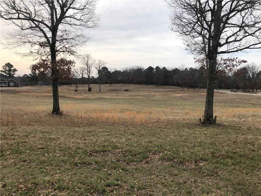 TBD Park and Bluff LN Unit 303  
