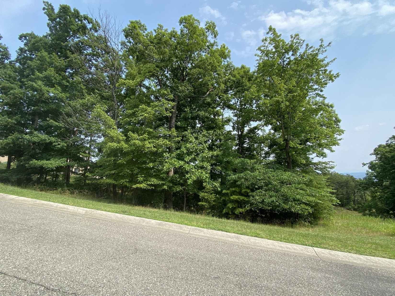LOT 59 Smt DR  