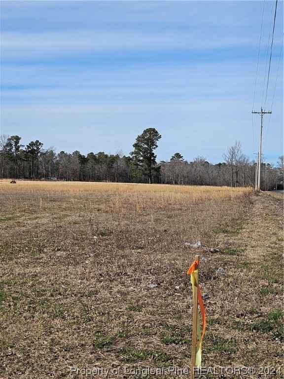Tract 1 Odum Rd  