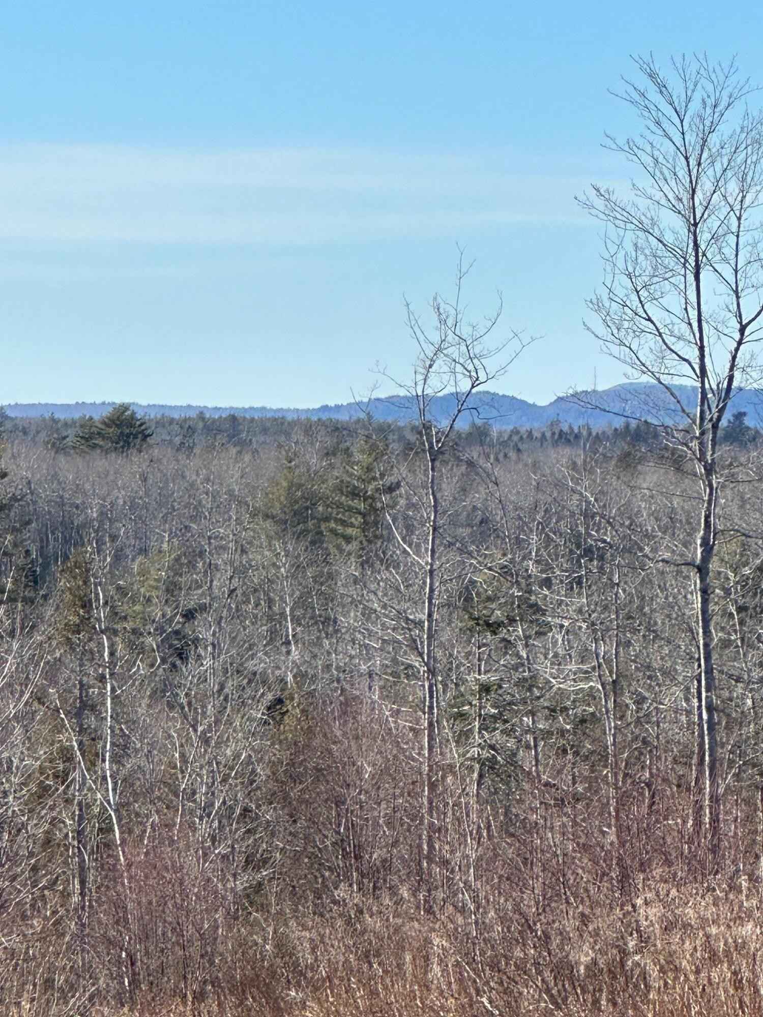Lot33 Park St  