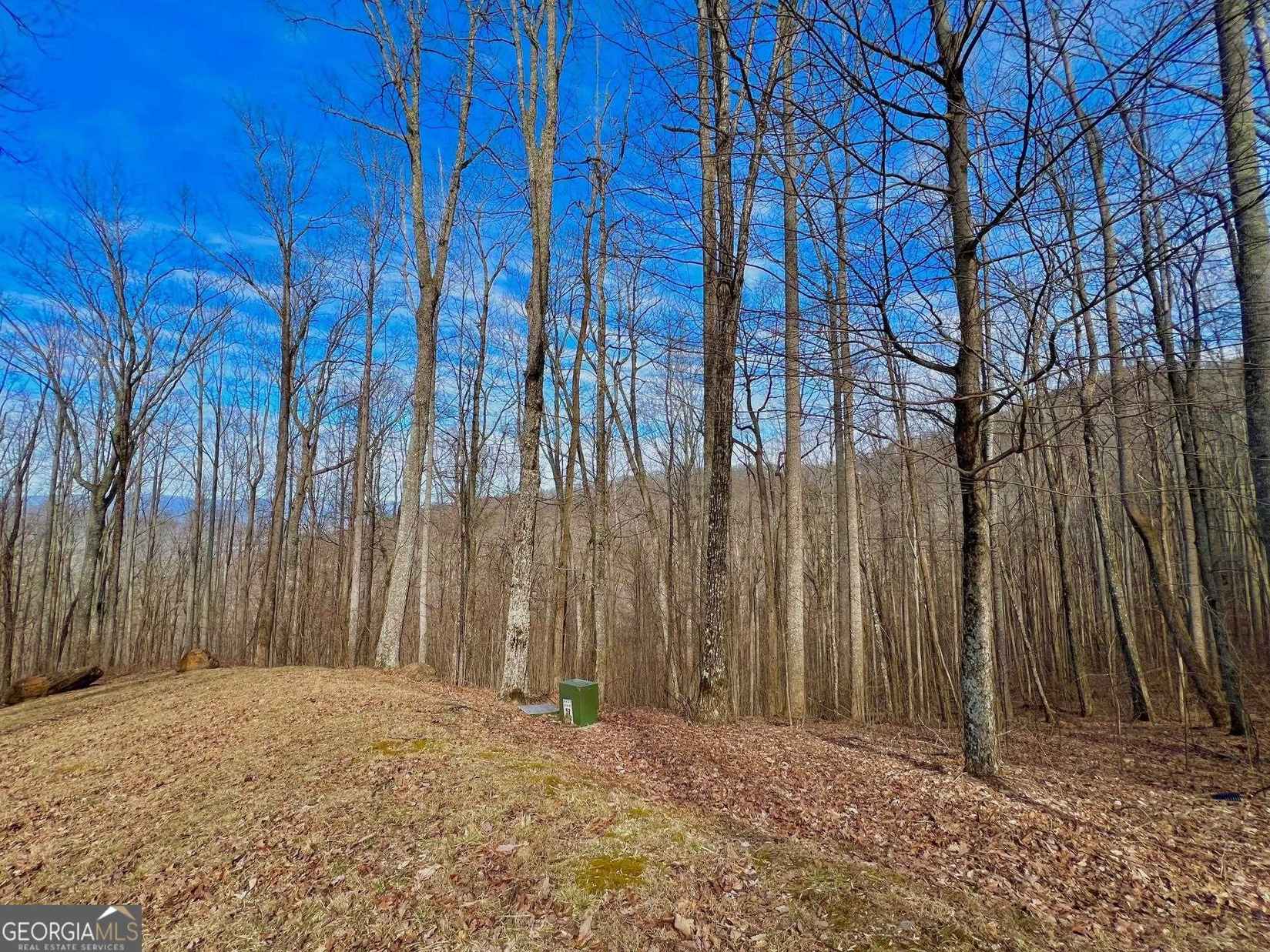 57 Rim Rock Ln  
