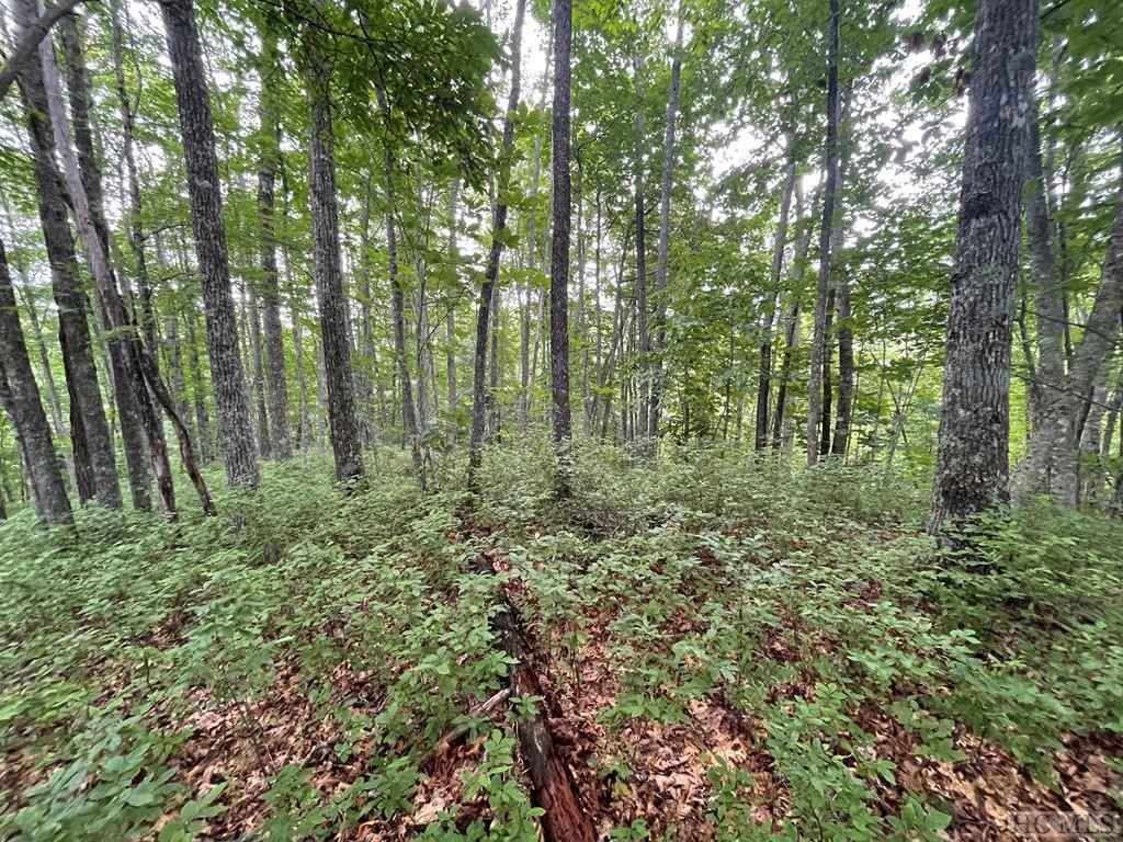 D53 Rye Mtn Dr  