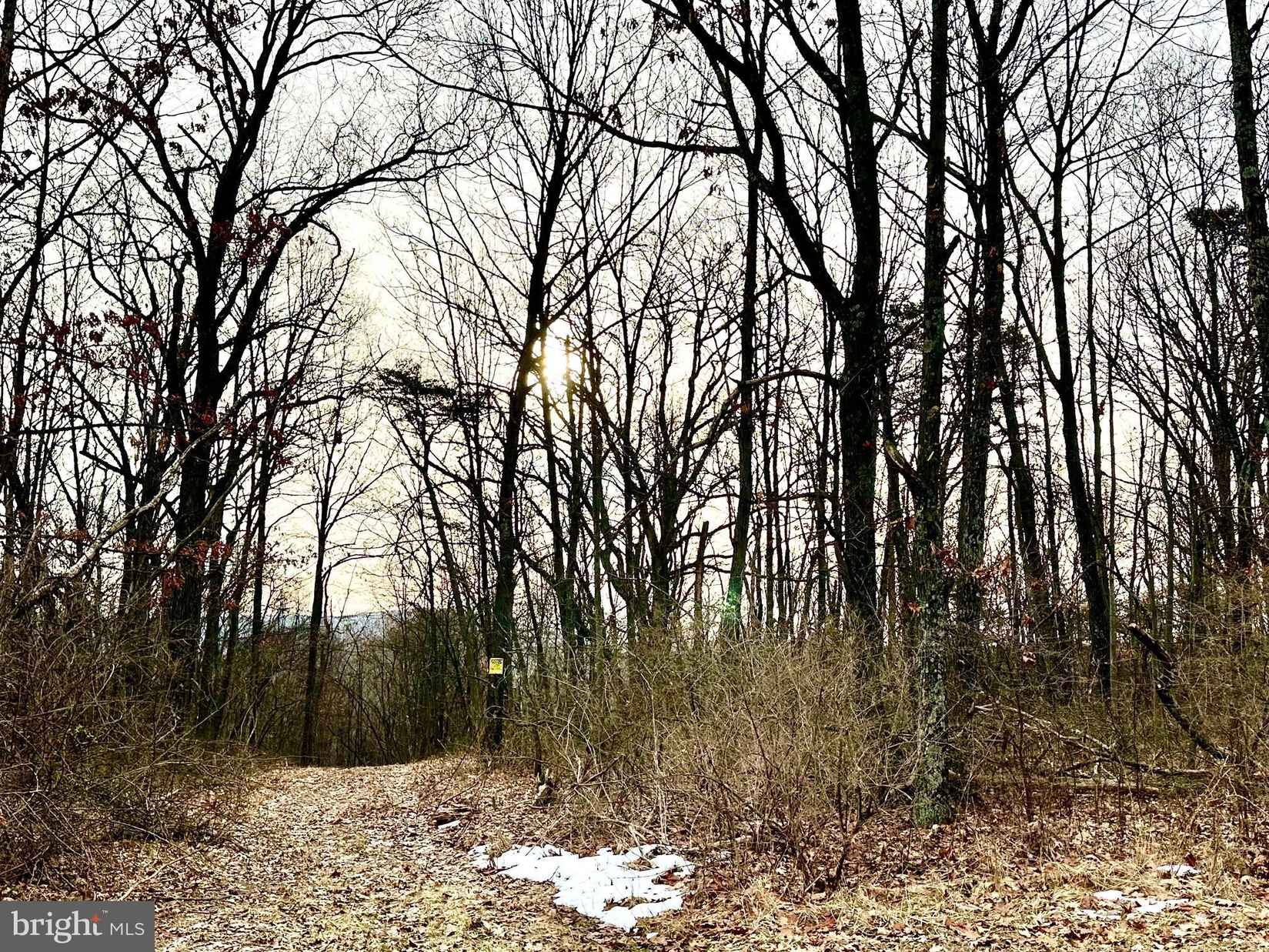 Lot 6 N TIMBER Rdg Rd  