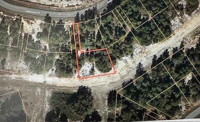 1344 HOMOSASSA Dr  