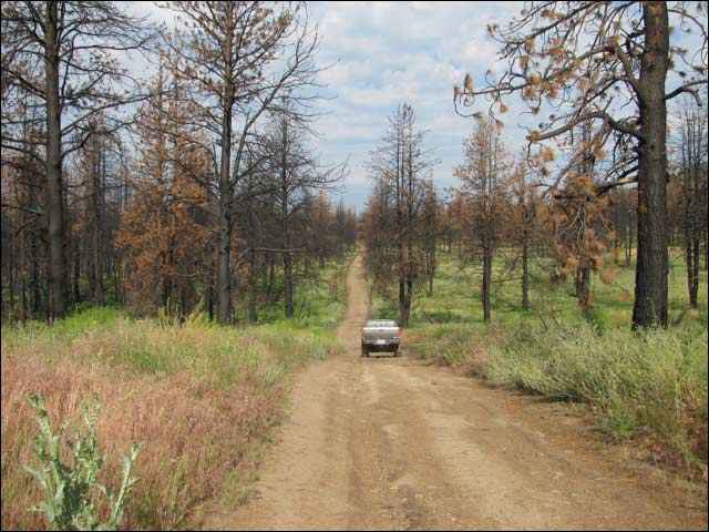 24725 Mountain Trout Ln  