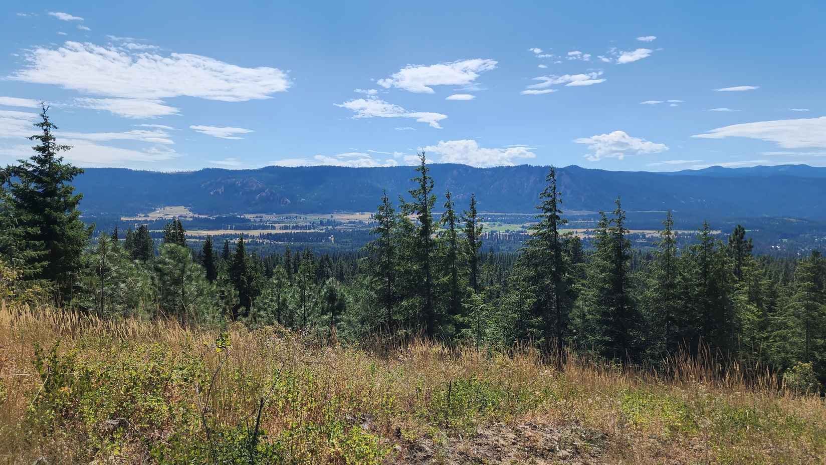 30 Lot 30 Forest Rdg Dr  