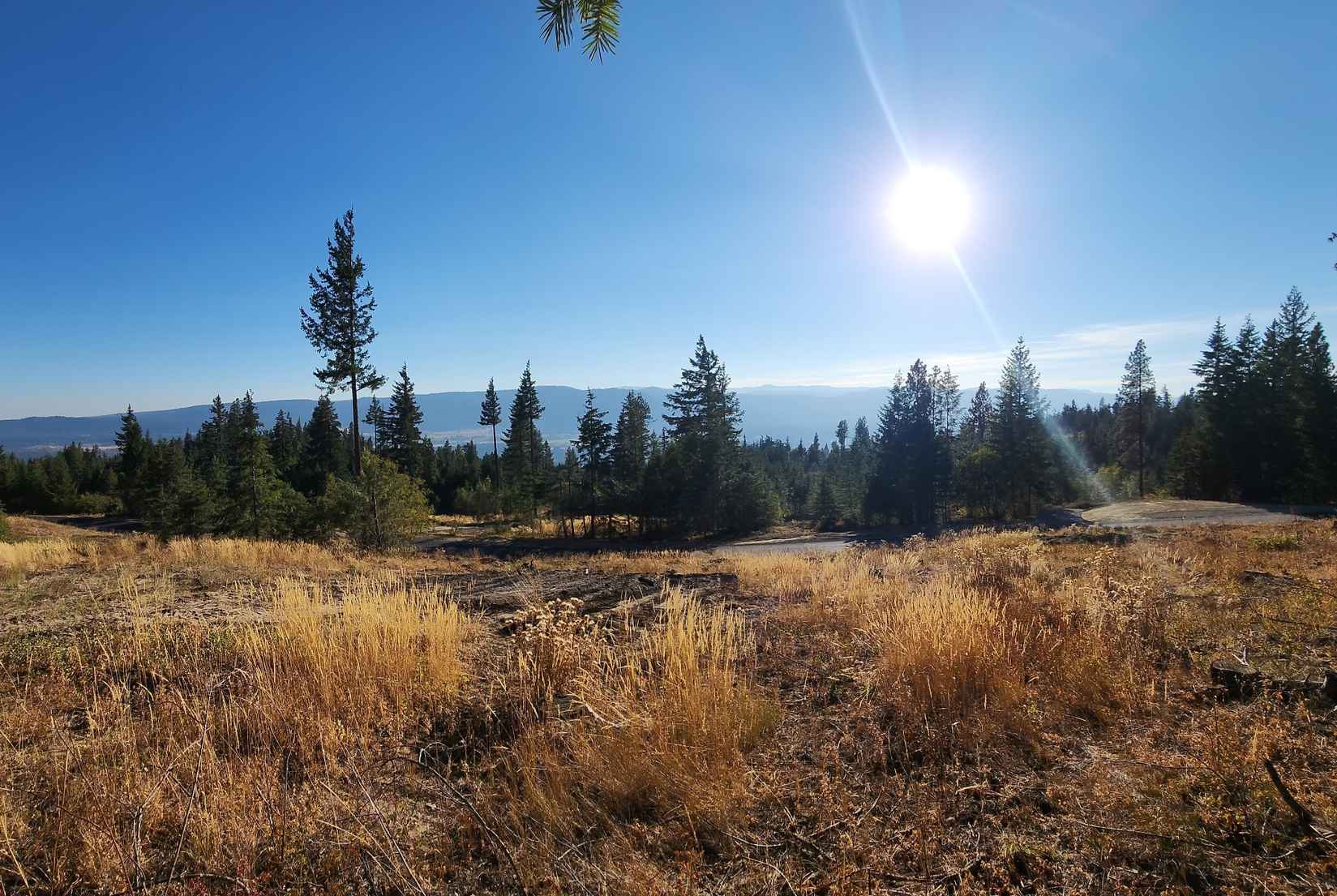 49 LOT 49 Forest Rdg Dr  