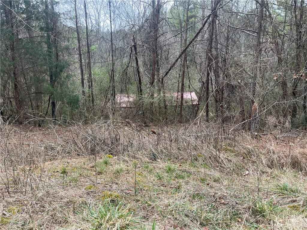 357 Big Oak Tree Rd  
