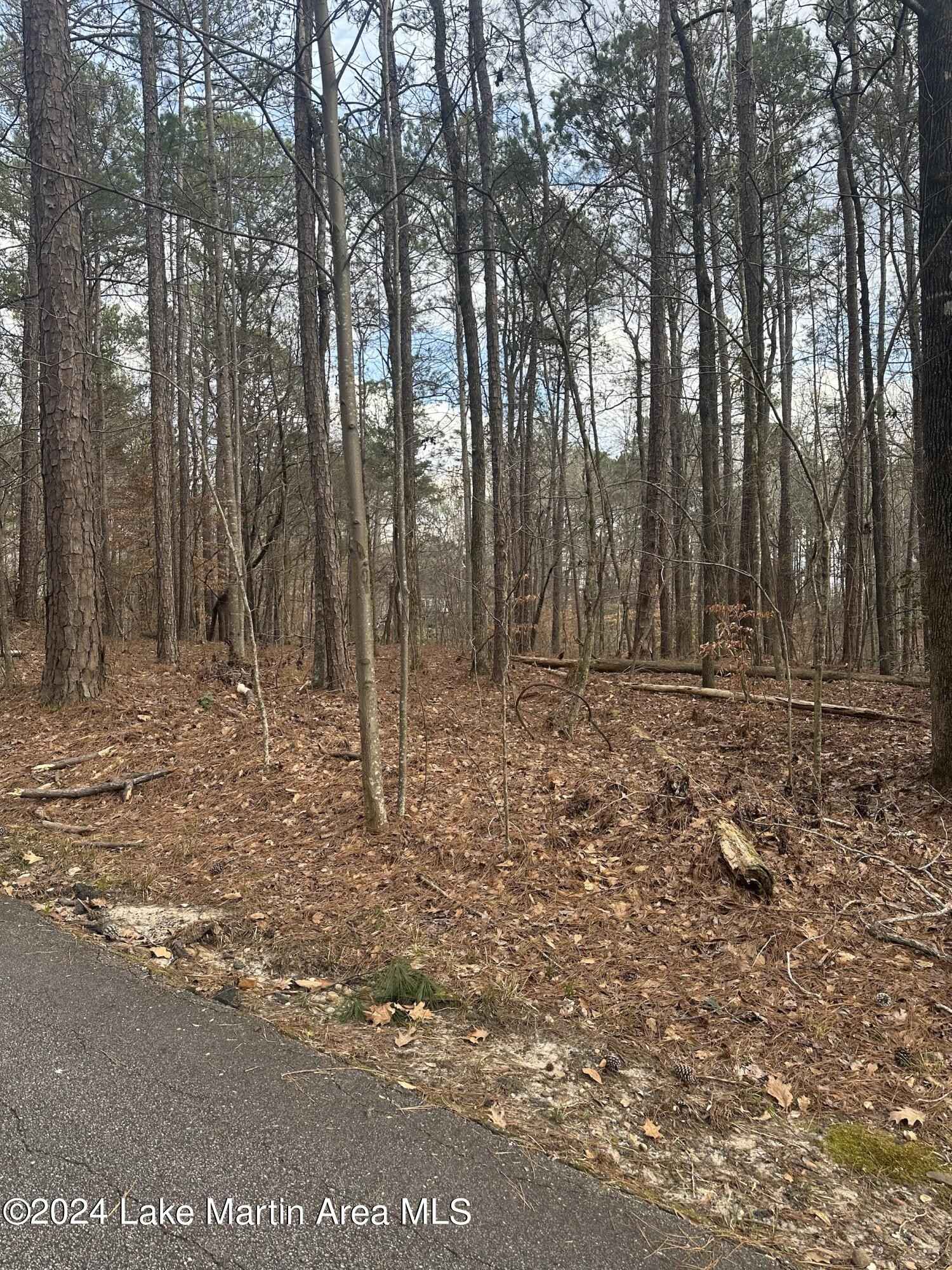 Lot 51 Chinquapin Pass  