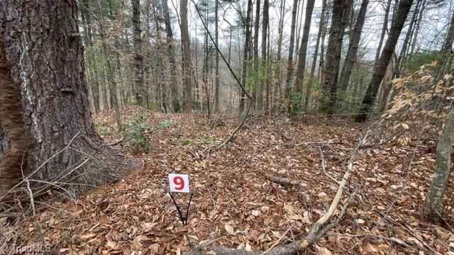 Lot 9 Woods Hvn Ln  
