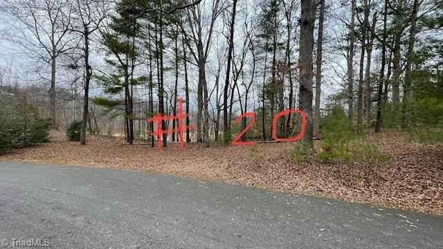 Lot 20 Woods Hvn Ln  