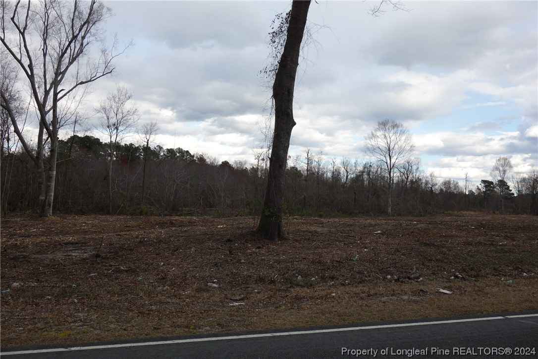 Tract 9 Odum Rd  