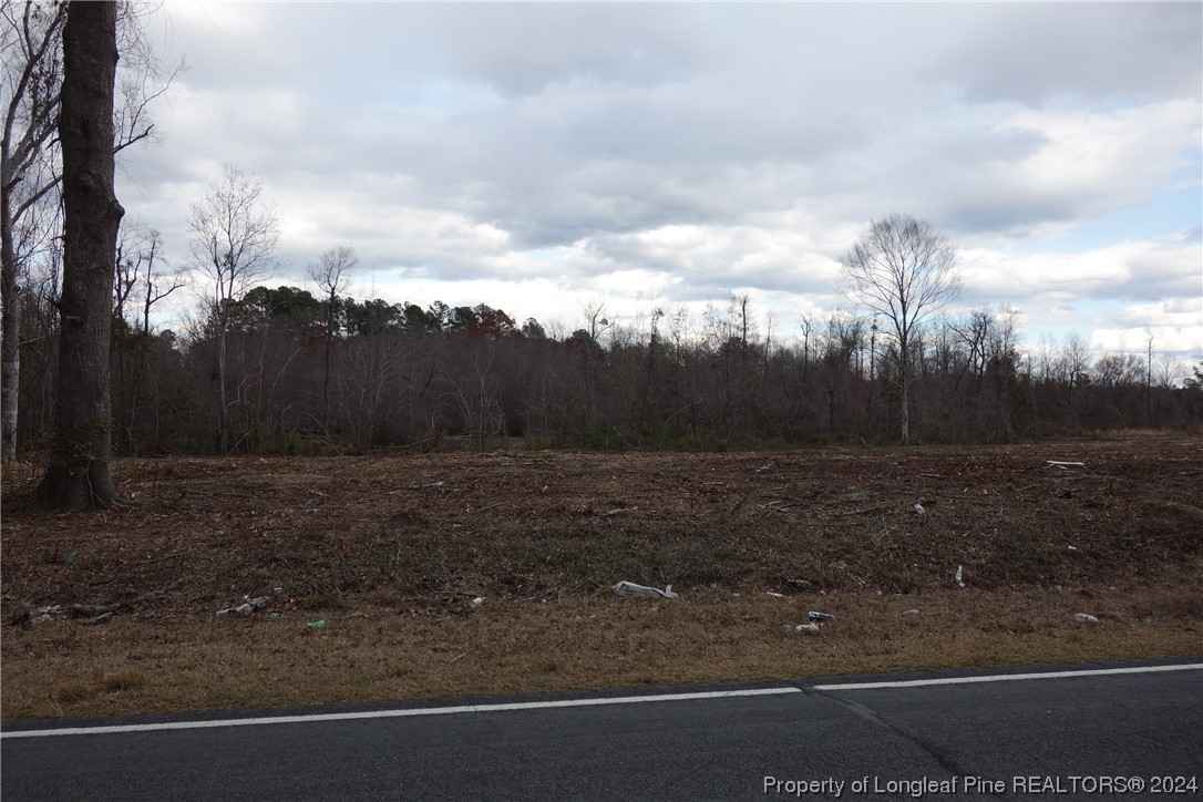 Tract 10 Odum Rd  
