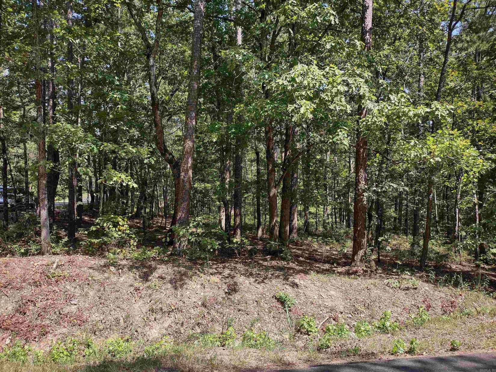 99 Bargus Way  