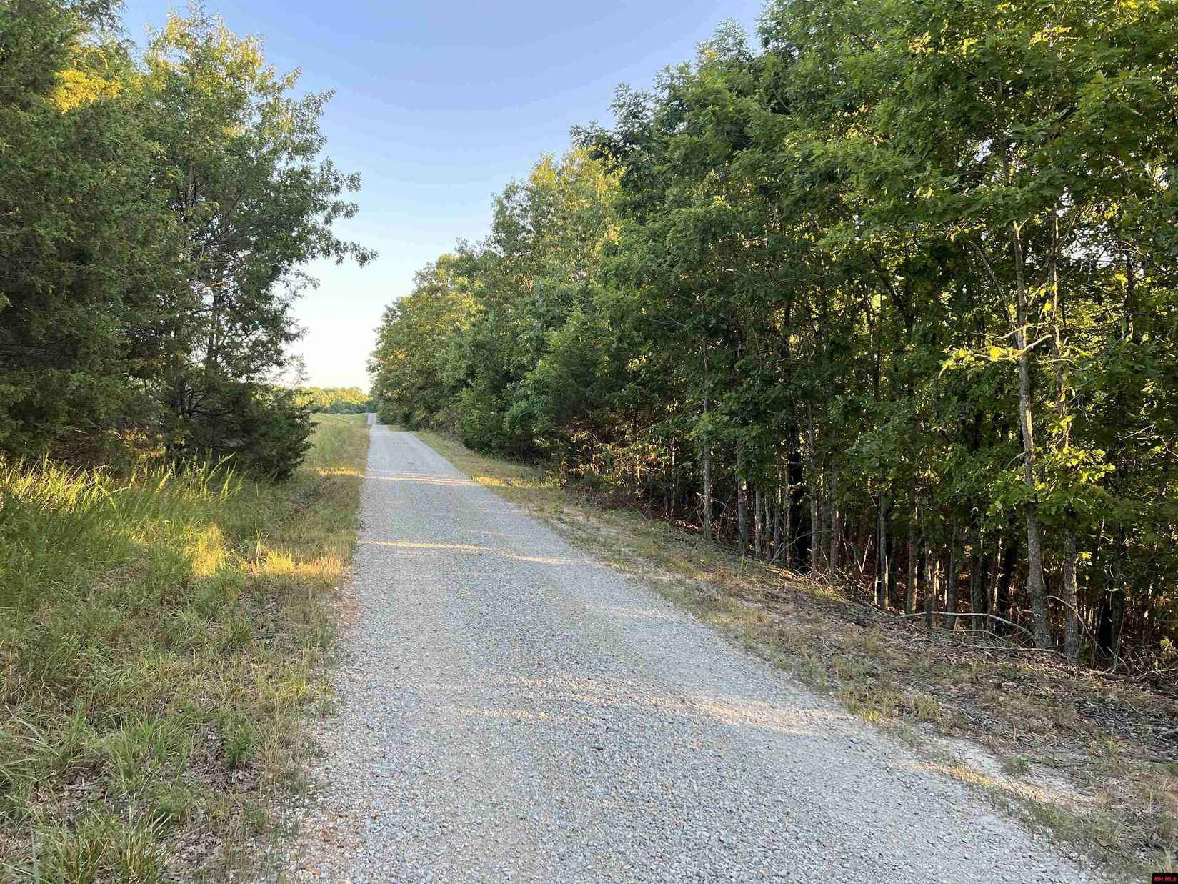 Lot 43 AIRLINE Dr  