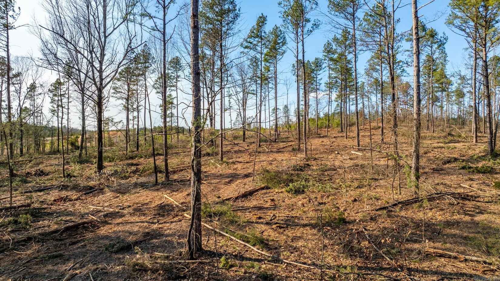 Tract 4 Hwy124  