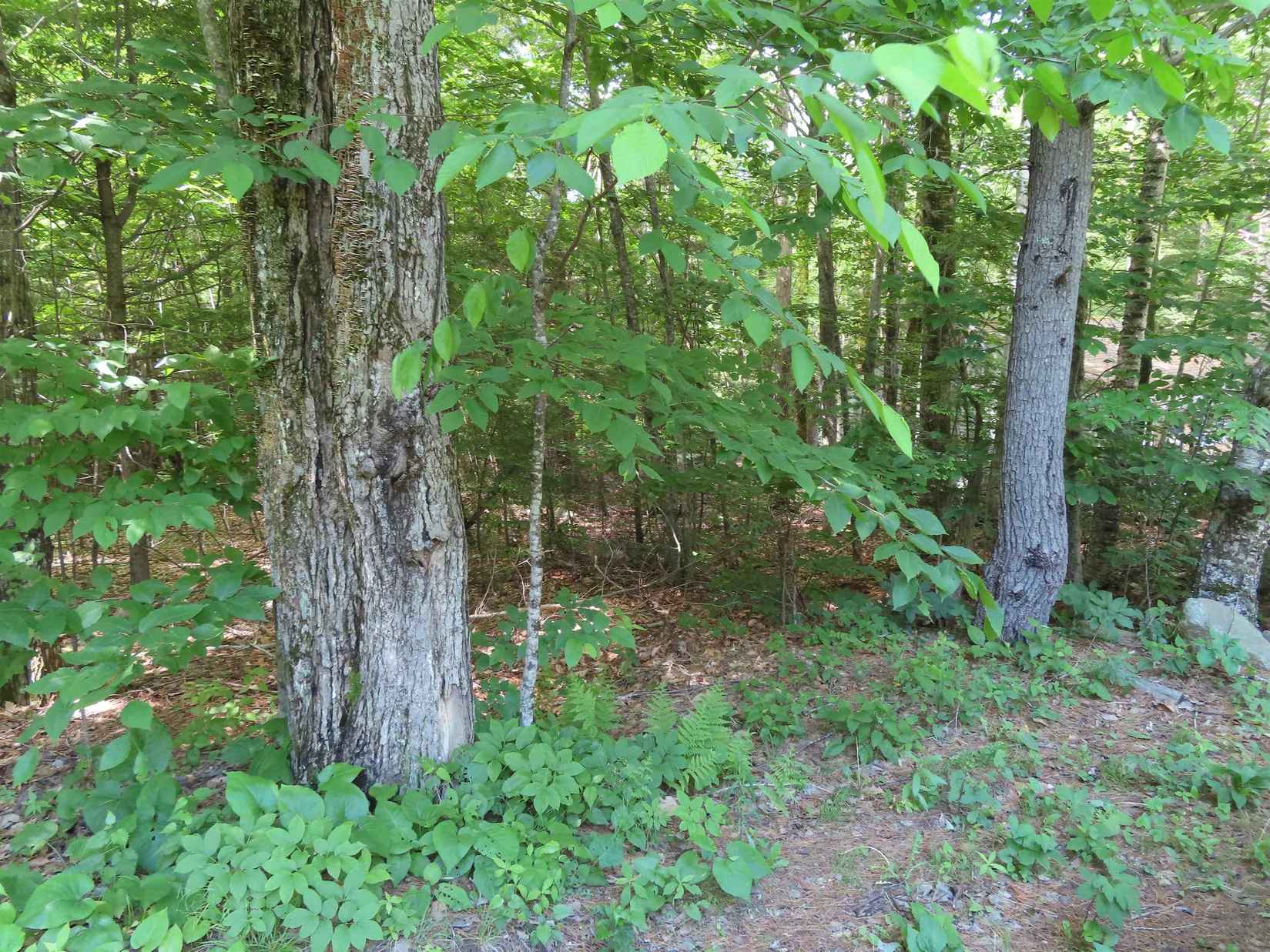 Lots 134-135 Wendy Dr  