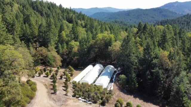 147 Acres Larabee Vly Rd  