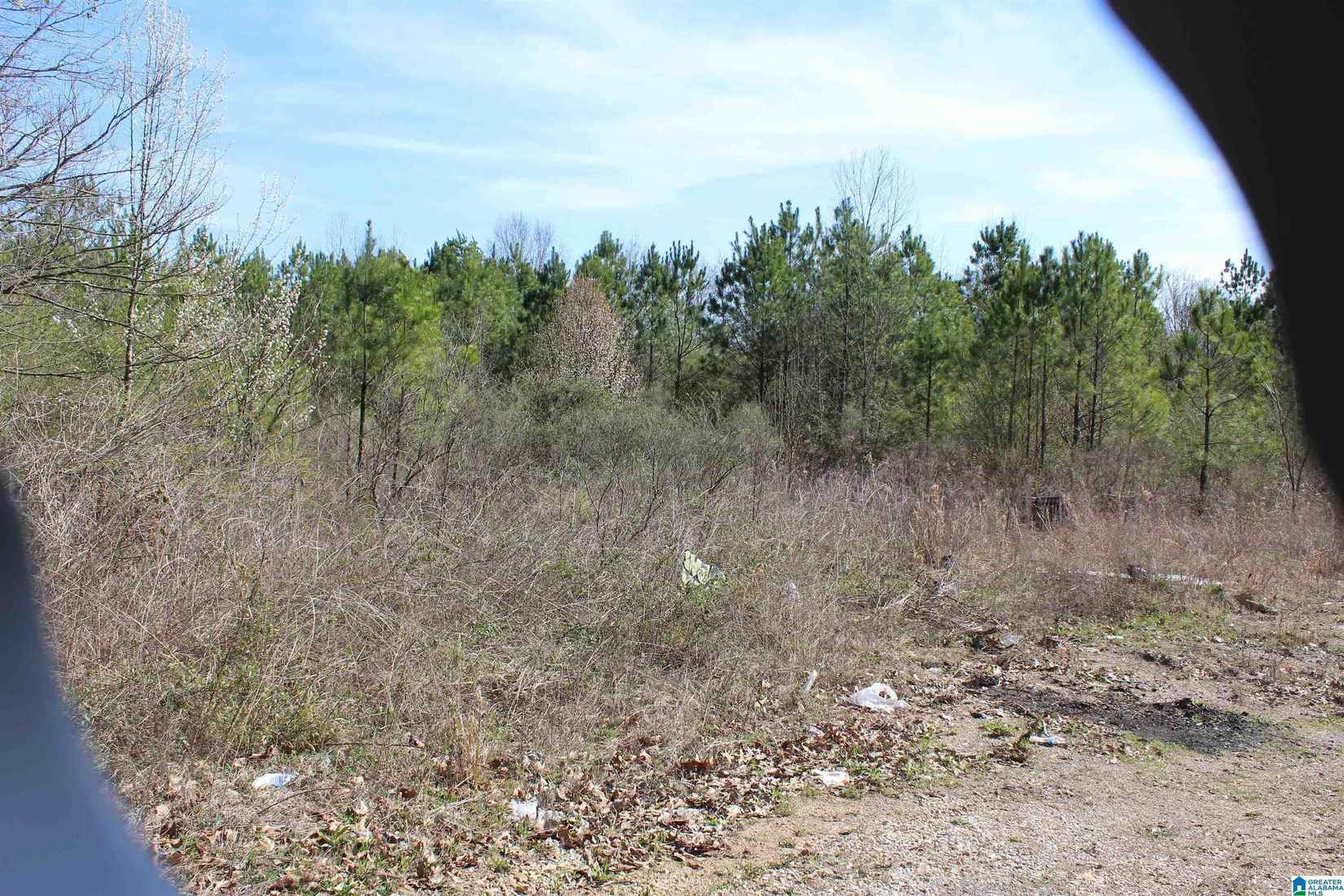 0 HOPEWELL Rd  