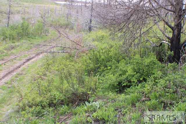 0044 Caribou Rd  