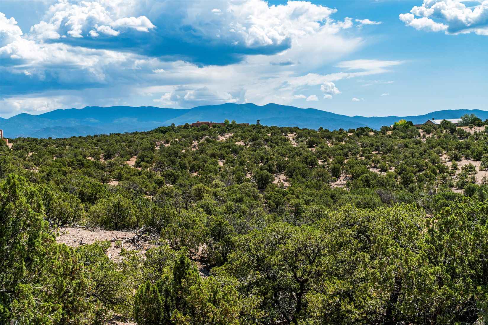 111 Estrellas De Tano  