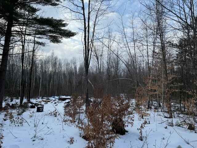 136 Bush Rd  