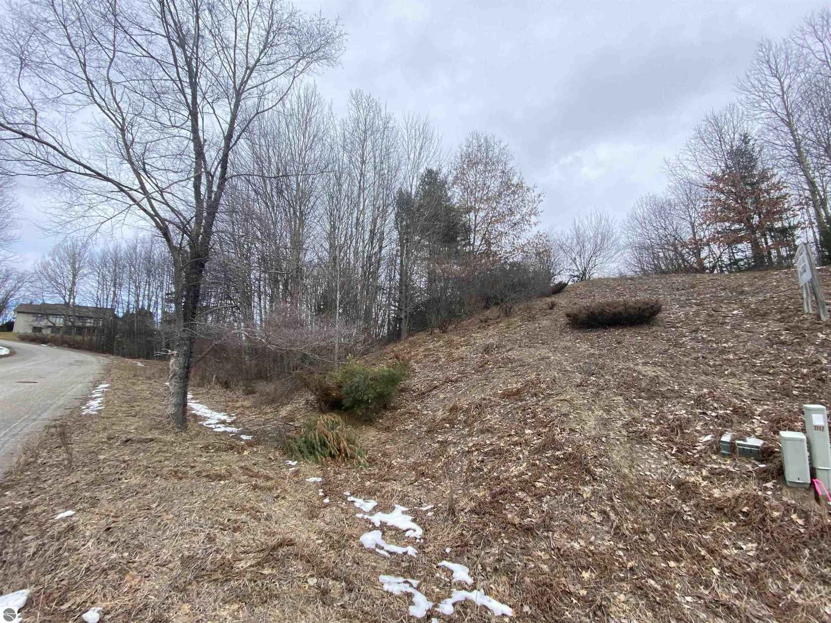 lot 33 Scenic Hls Dr  