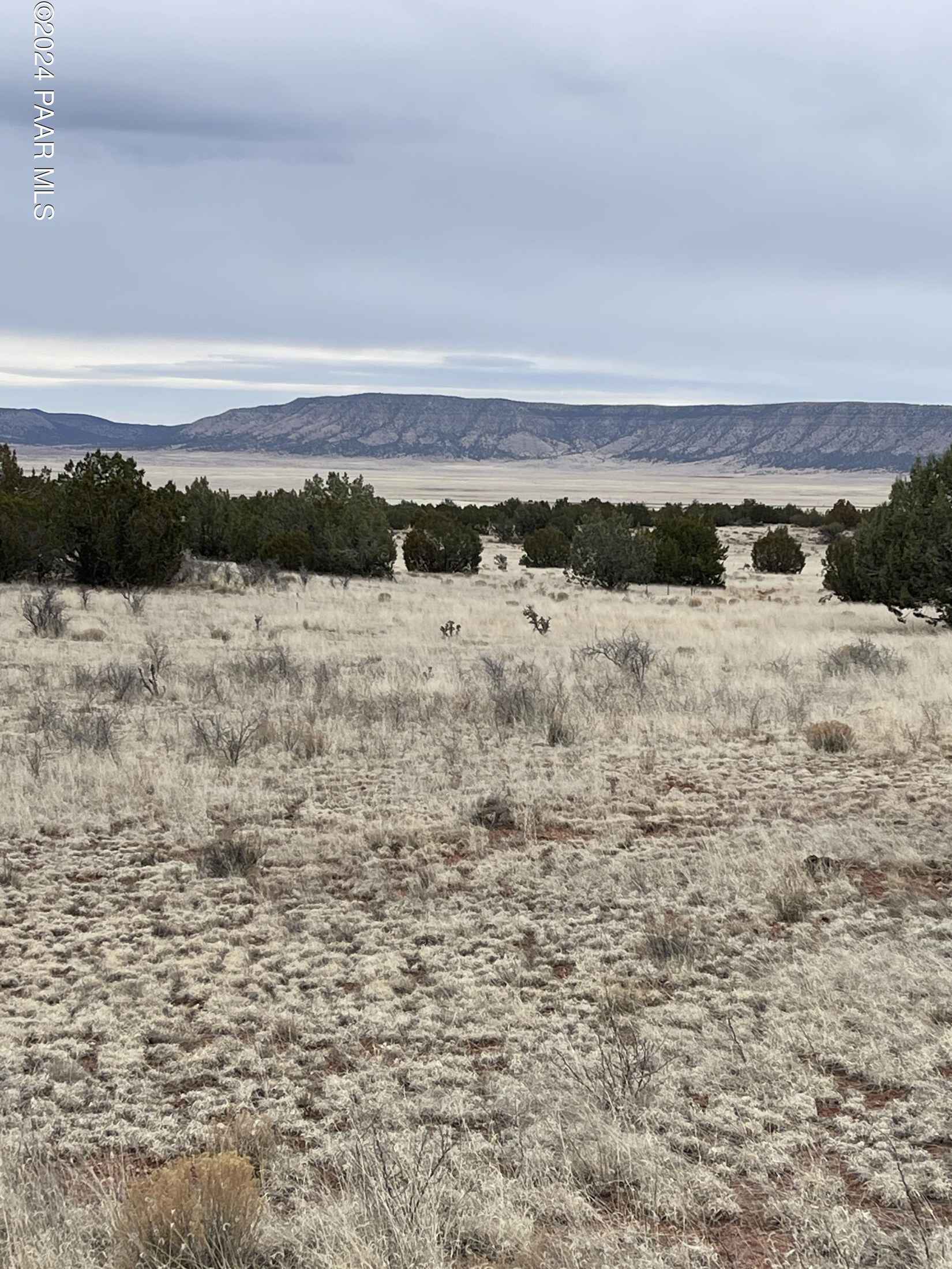 34280 La Plancha Pkwy  